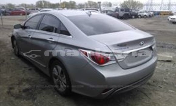 Buy Used Hyundai Sonata Silver Car in Tbilisi in Tbilisi Buy Used Hyundai Sonata Silver Car in Tbilisi in Tbilisi