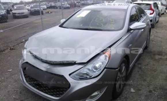 Buy Used Hyundai Sonata Silver Car in Tbilisi in Tbilisi Buy Used Hyundai Sonata Silver Car in Tbilisi in Tbilisi