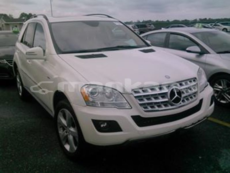 Big with watermark 64962352 2506431152710140 5757404463446884352 n