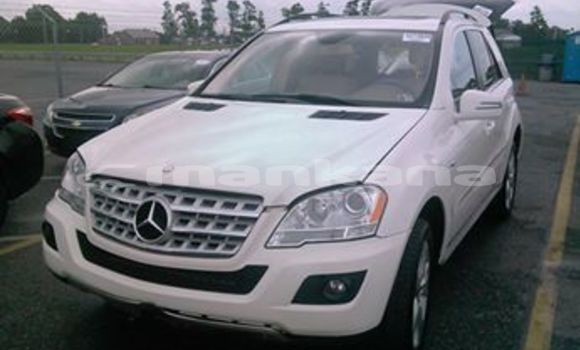 Buy Used Mercedes-Benz ML–Class White Car in Tbilisi in Tbilisi Buy Used Mercedes-Benz ML–Class White Car in Tbilisi in Tbilisi