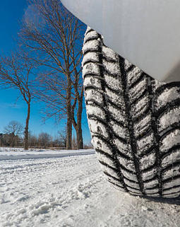 Thumb winter geor